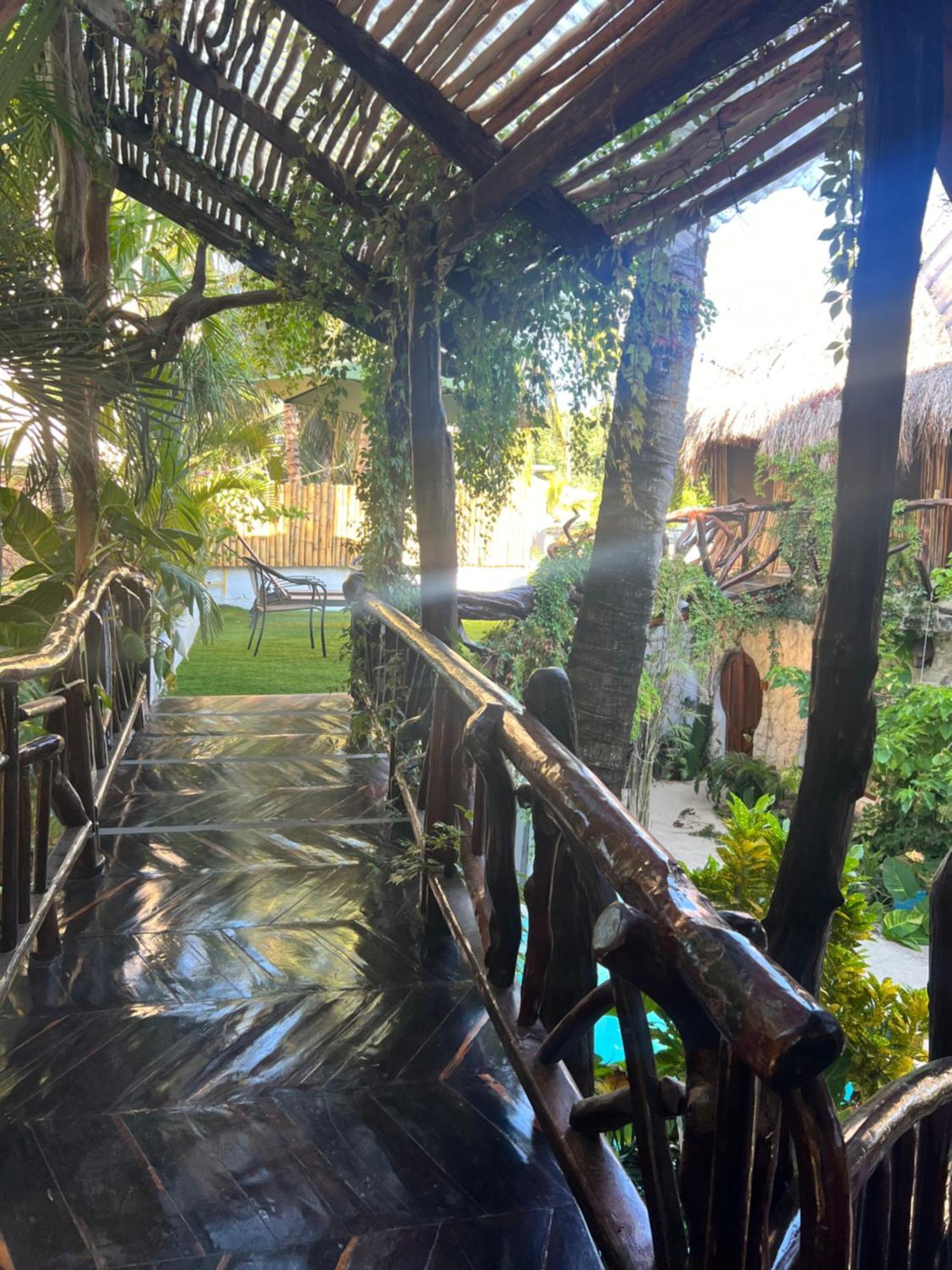 Bed and Breakfast La Quinta Orquidea Пуэрто-Морелос Экстерьер фото