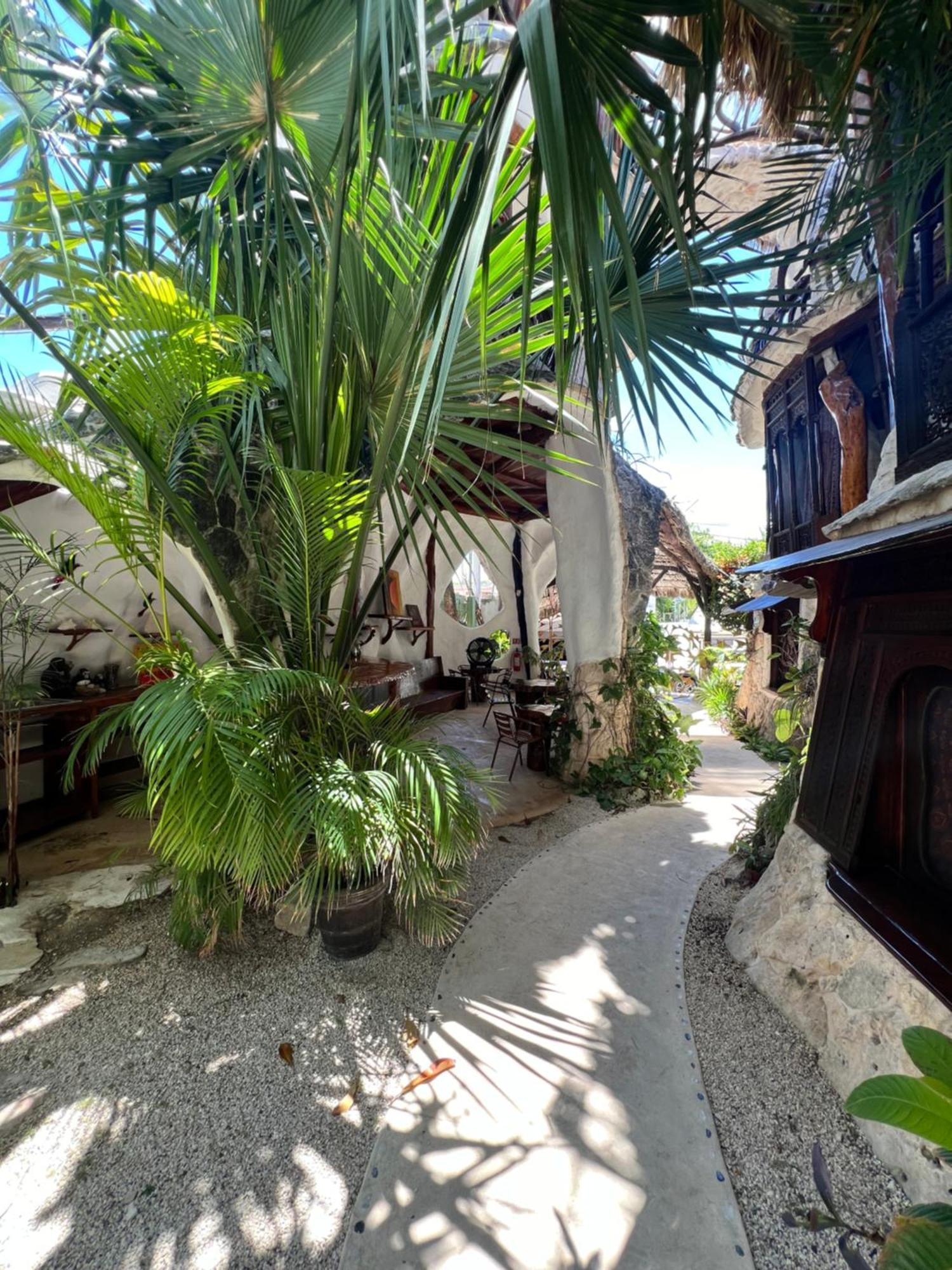 Bed and Breakfast La Quinta Orquidea Пуэрто-Морелос Экстерьер фото