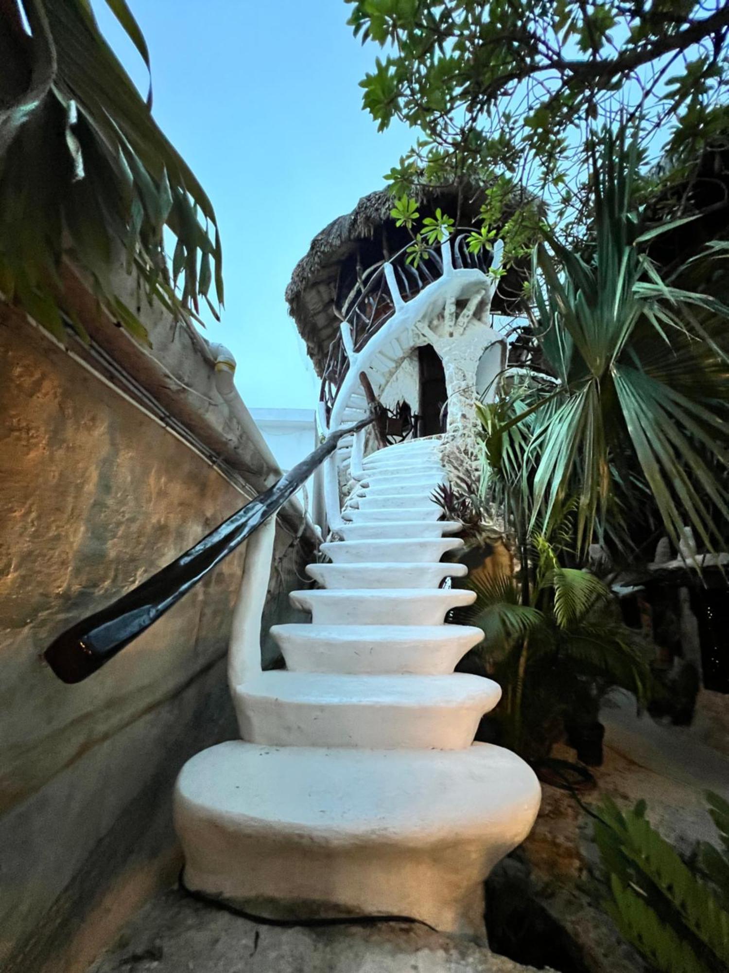 Bed and Breakfast La Quinta Orquidea Пуэрто-Морелос Экстерьер фото